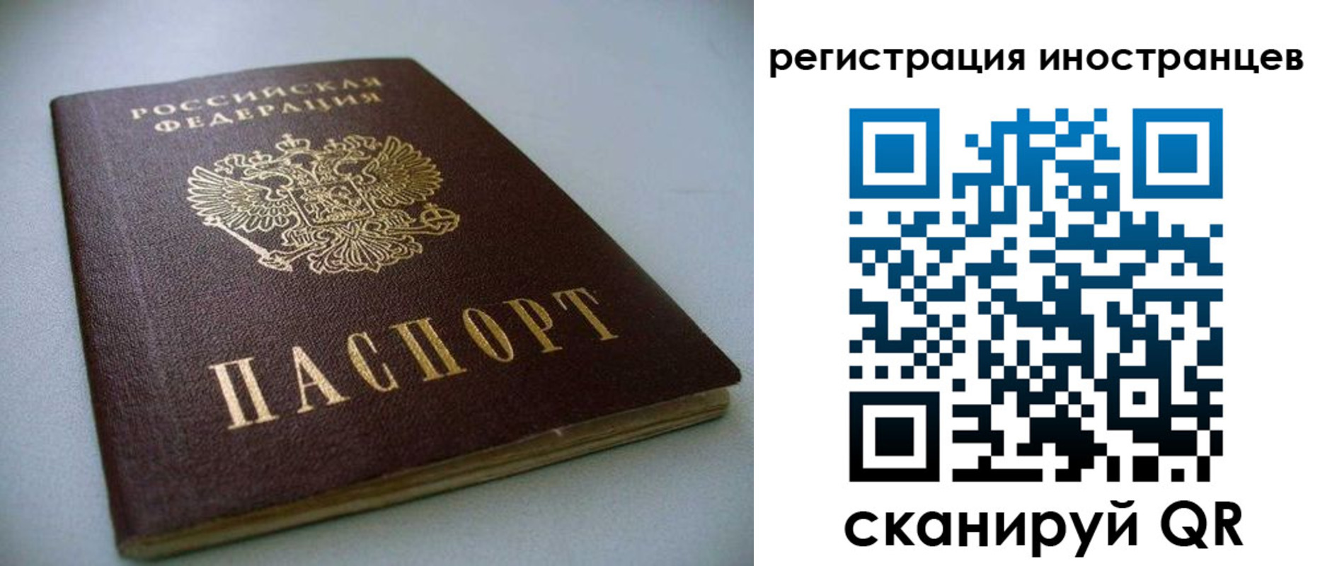 пропишу в квартире в Дорогобуже